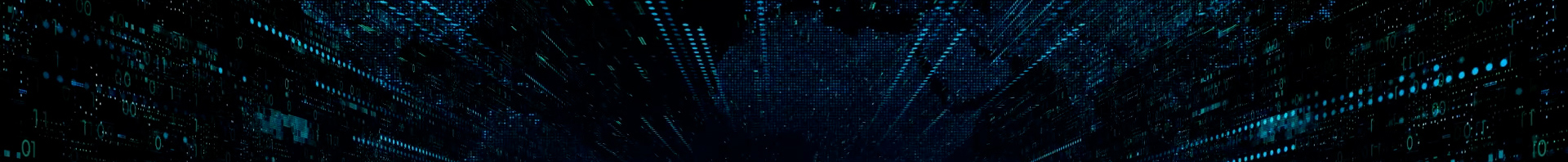web_Q_Reality_divider